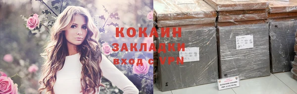 твердый Богданович