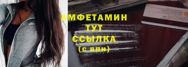твердый Богданович