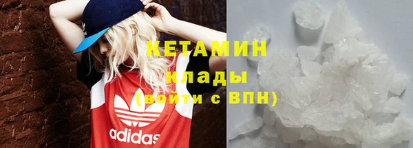 твердый Богданович