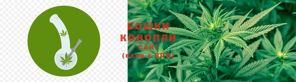 mdpv Белокуриха