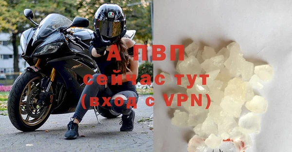 mdpv Белокуриха