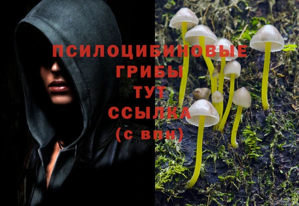 COCAINE Алапаевск