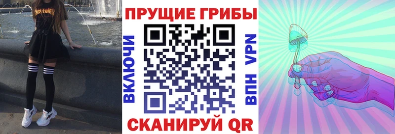 Псилоцибиновые грибы Cubensis  кракен онион  Волжск 